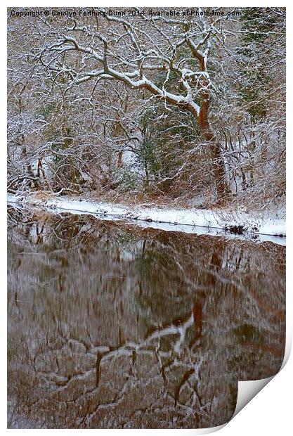  Reflections of Winter Print by Carolyn Farthing-Dunn