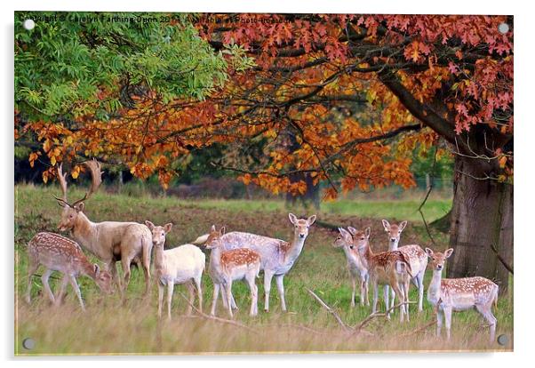  Its Autumn Deer. Acrylic by Carolyn Farthing-Dunn