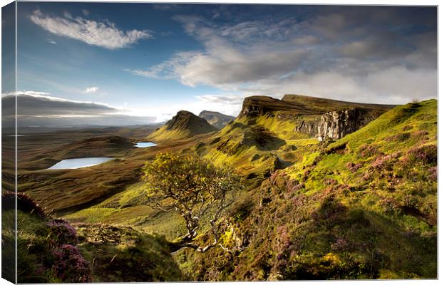  Morning light on the Quiraing Canvas Print by Richard Armstrong
