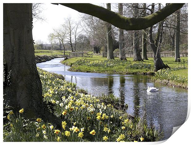 "Springtime" River Wensum Norfolk Print by john hartley