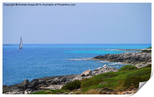  Coastal View cliff path to turquoise sea Print by Andrew Heaps