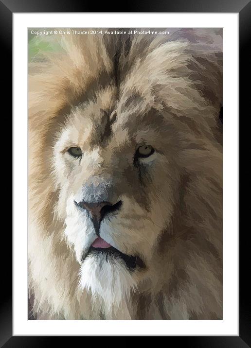  Lion Portrait Watercolour Framed Mounted Print by Chris Thaxter