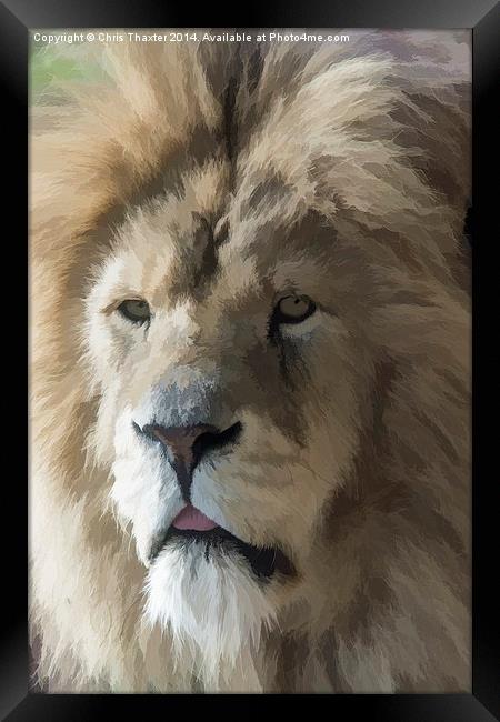  Lion Portrait Watercolour Framed Print by Chris Thaxter