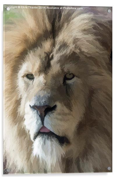  Lion Portrait Watercolour Acrylic by Chris Thaxter