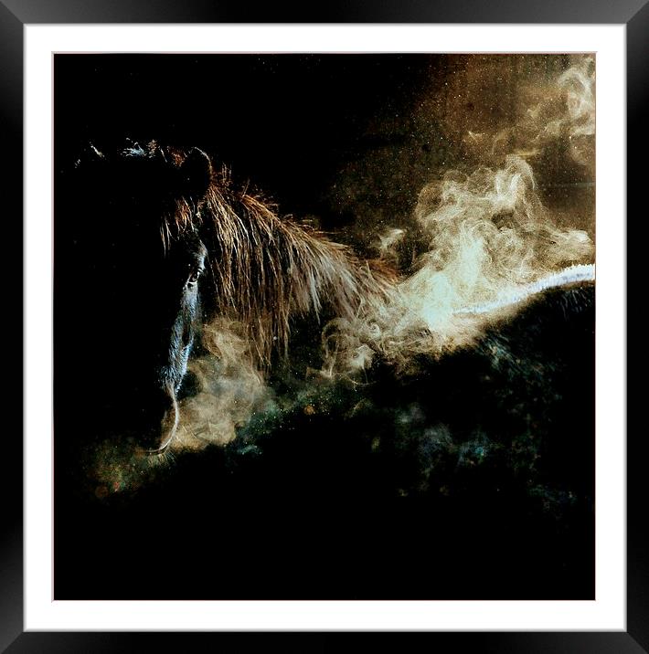  Letting off steam Framed Mounted Print by Alan Mattison