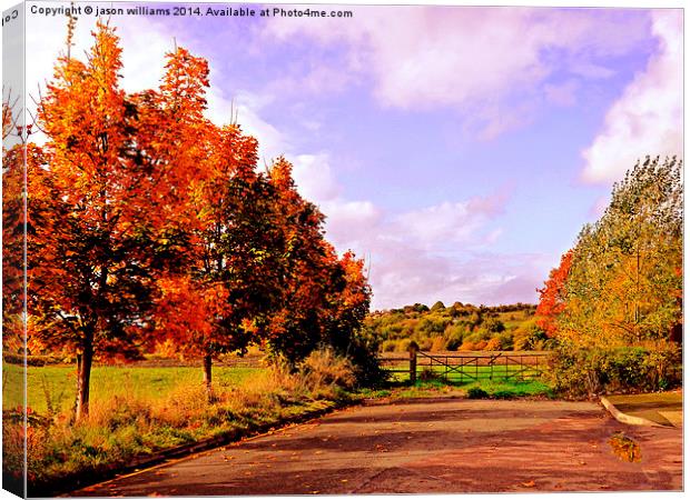  Changing Seasons. Canvas Print by Jason Williams