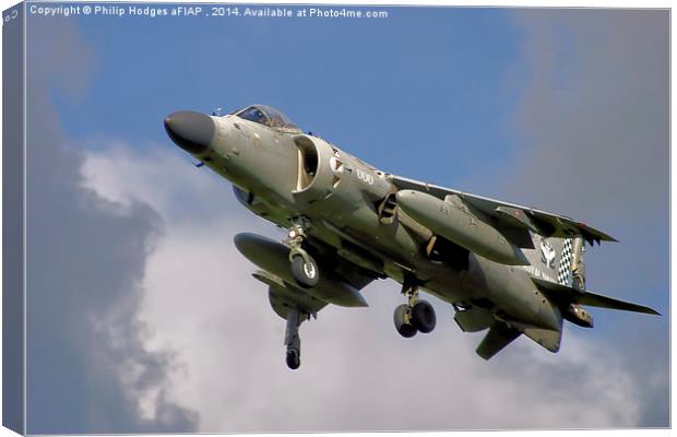  Hawker Siddeley Harrier " Jump Jet " Canvas Print by Philip Hodges aFIAP ,