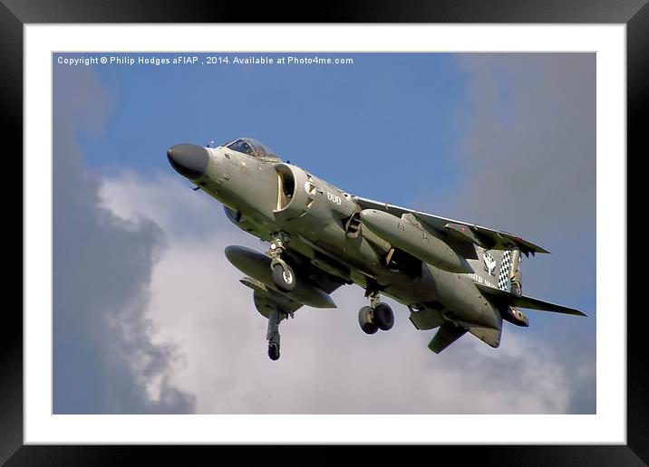  Hawker Siddeley Harrier " Jump Jet " Framed Mounted Print by Philip Hodges aFIAP ,