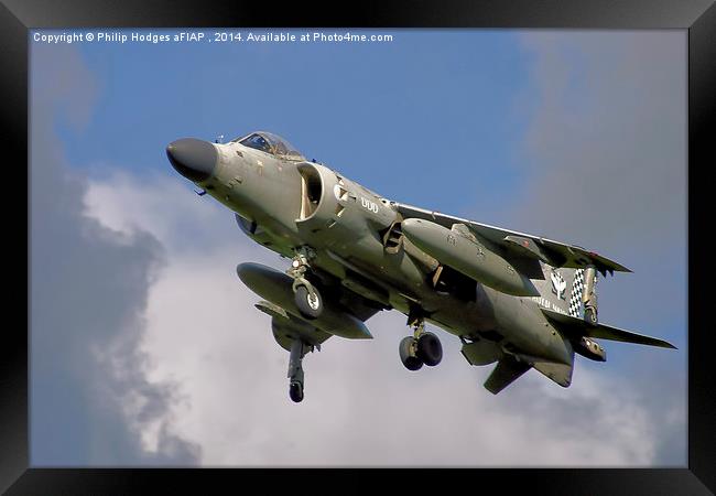  Hawker Siddeley Harrier " Jump Jet " Framed Print by Philip Hodges aFIAP ,