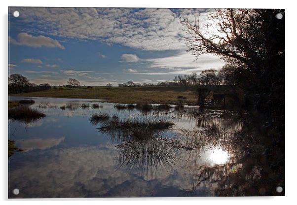  Winter floods Acrylic by Stephen Prosser