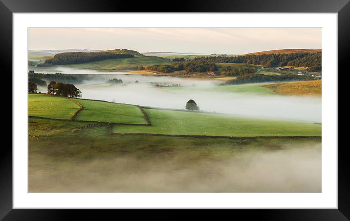  Misty Hills Framed Mounted Print by Laura Kenny