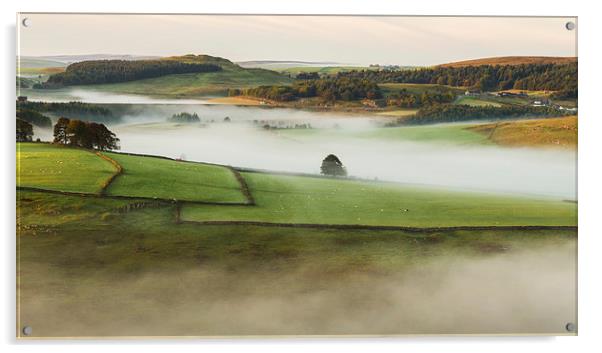  Misty Hills Acrylic by Laura Kenny