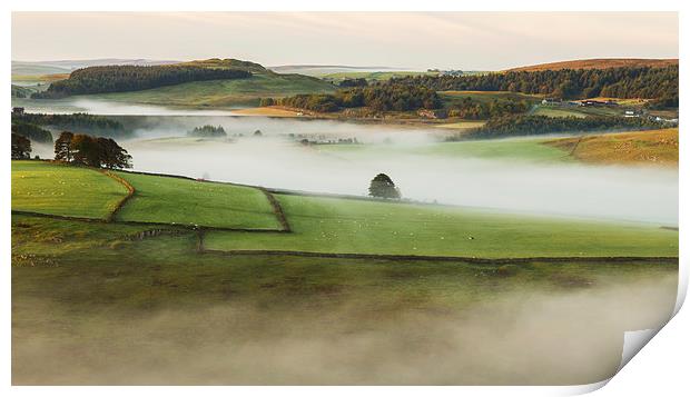  Misty Hills Print by Laura Kenny