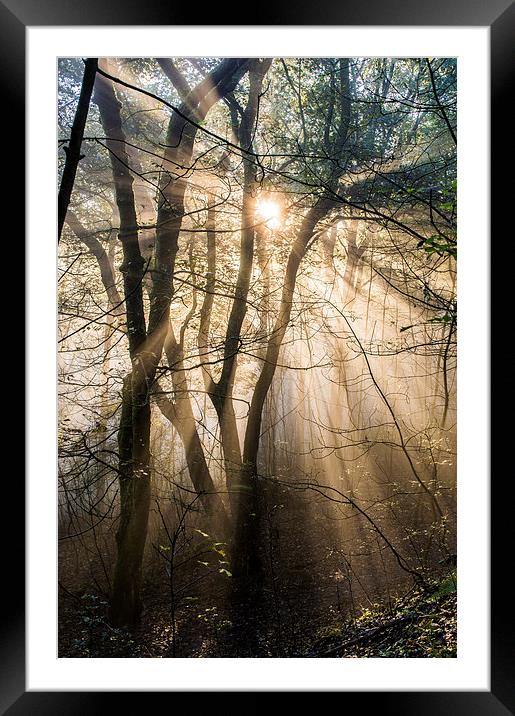  Misty Morning Framed Mounted Print by Laura Kenny