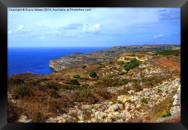  Dingli Cliffs Malta Framed Print by Diana Mower