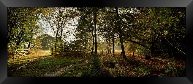  Preston Park, Stockton on Tees Panoramic Framed Print by Dave Hudspeth Landscape Photography