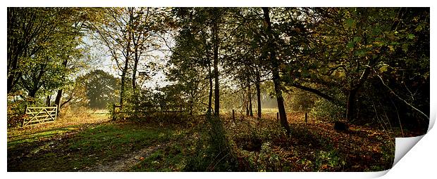  Preston Park, Stockton on Tees Panoramic Print by Dave Hudspeth Landscape Photography