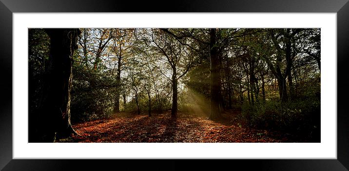  Preston Park, Stockton on Tees Panoramic Framed Mounted Print by Dave Hudspeth Landscape Photography