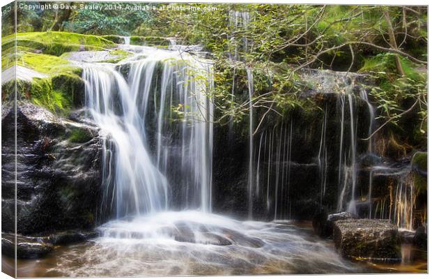  Waterfall Canvas Print by Dave Sealey