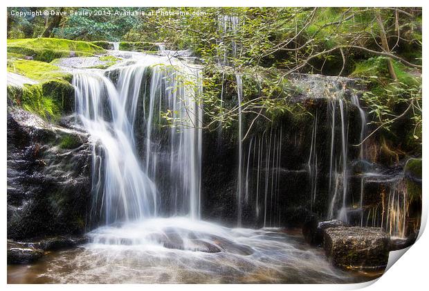  Waterfall Print by Dave Sealey
