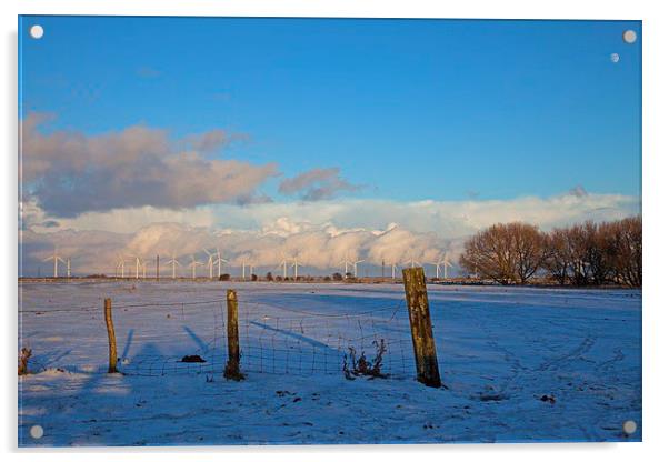  Blue skies in winter Acrylic by Stephen Prosser