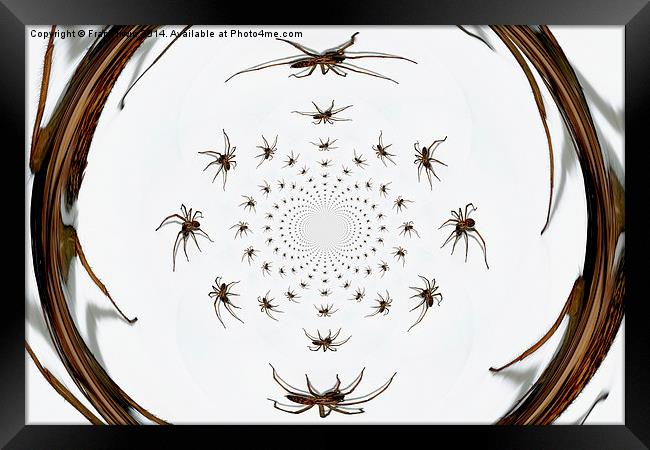   Arachnophobia a go-go Framed Print by Frank Irwin