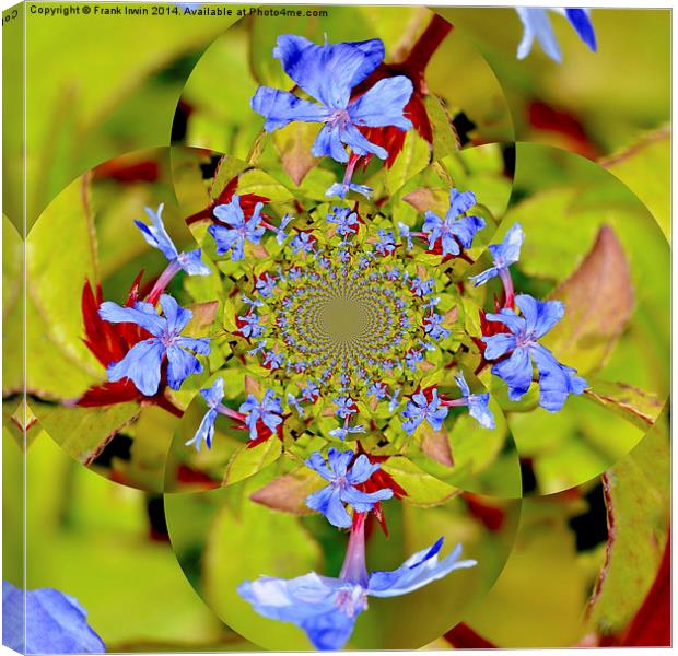  Composition of blue flowers Canvas Print by Frank Irwin