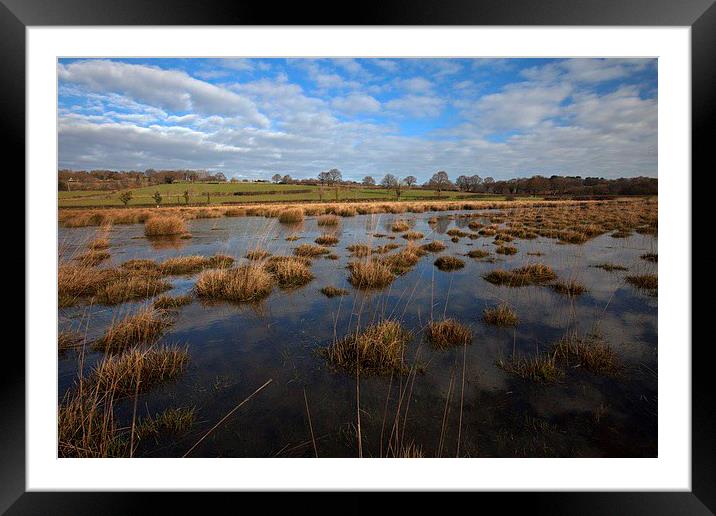  Flooded fields Framed Mounted Print by Stephen Prosser