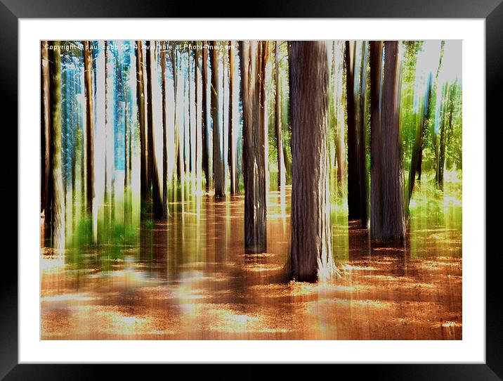 Woodland. Framed Mounted Print by paul cobb