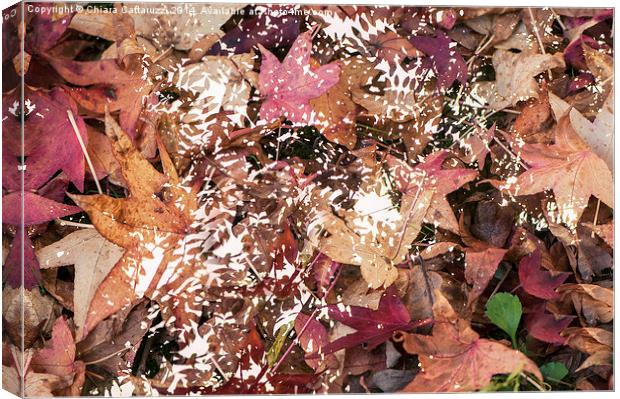  Magic autumn Canvas Print by Chiara Cattaruzzi