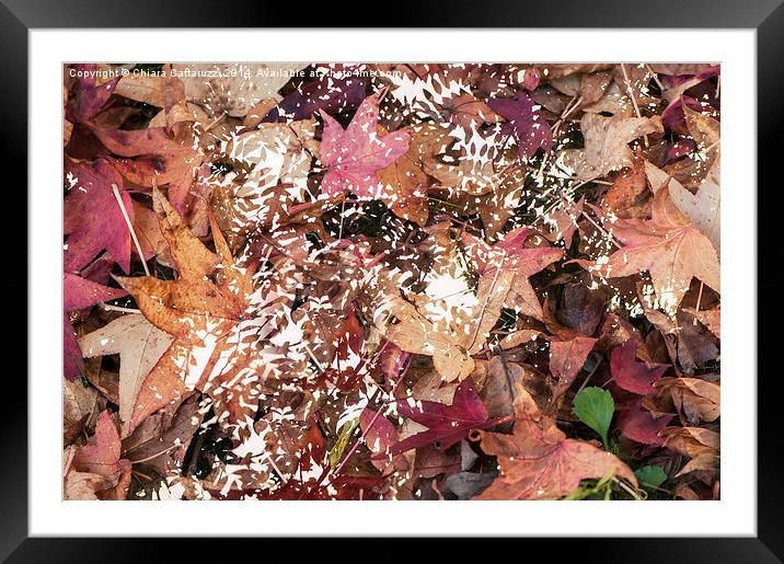  Magic autumn Framed Mounted Print by Chiara Cattaruzzi