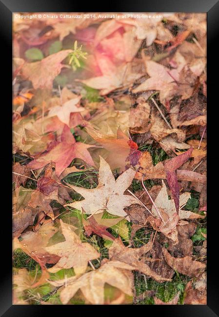  Magic autumn Framed Print by Chiara Cattaruzzi