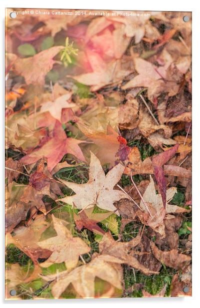  Magic autumn Acrylic by Chiara Cattaruzzi