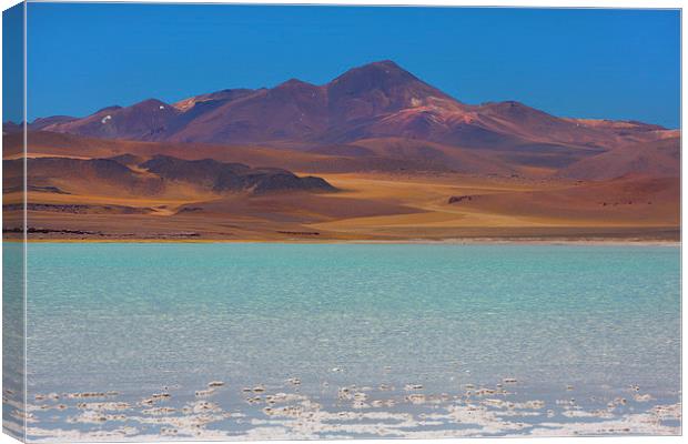  Atacama Salt Lake Canvas Print by David Hare