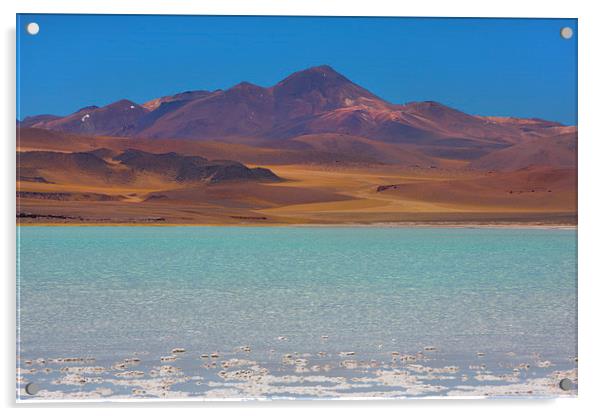  Atacama Salt Lake Acrylic by David Hare