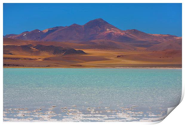  Atacama Salt Lake Print by David Hare