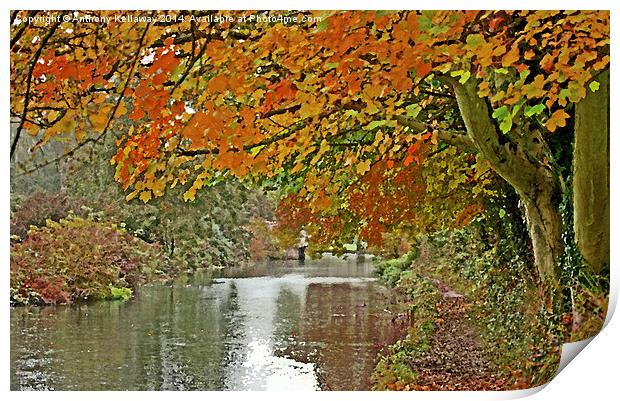  ITCHEN NAVIGATION IN AUTUMN Print by Anthony Kellaway