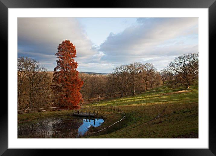  Standing proud Framed Mounted Print by Stephen Prosser