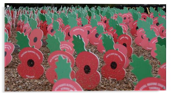 British Legion Memorial Acrylic by Andrew Heaps
