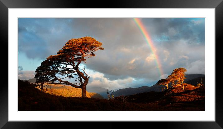  Glen Strathfarrar Framed Mounted Print by Macrae Images