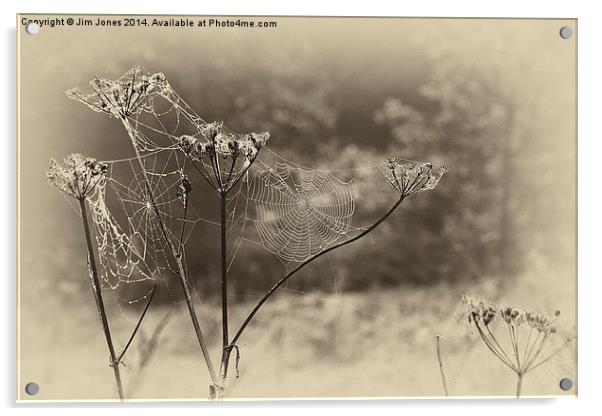  Antiqued web Acrylic by Jim Jones