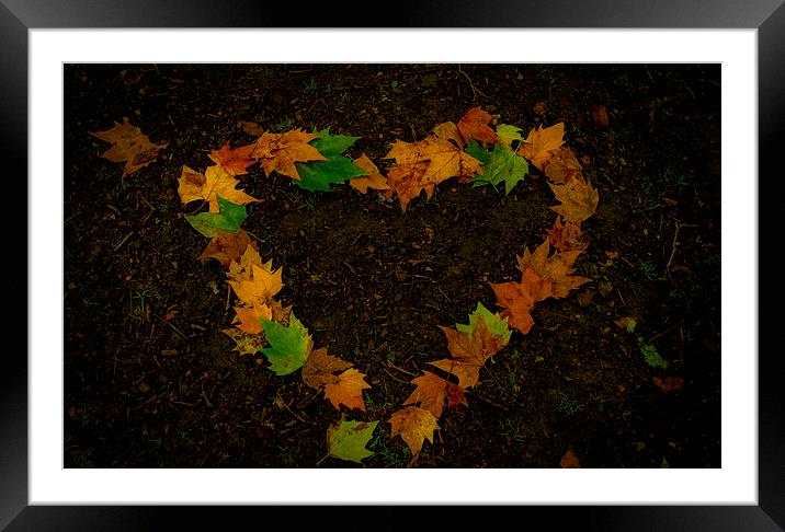  leaf heart Framed Mounted Print by Marina Otto