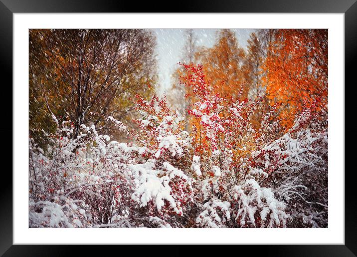  Colorful Fireworks at Late Autumn  Framed Mounted Print by Jenny Rainbow