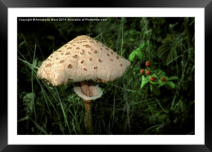  Fairy King's Throne. Framed Mounted Print by Annabelle Ward