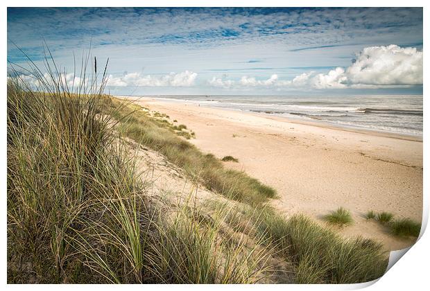  Facing Winterton Print by Stephen Mole