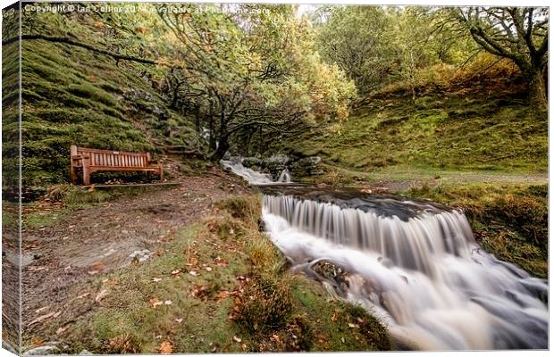  Autumn's best Seat Canvas Print by Ian Collins