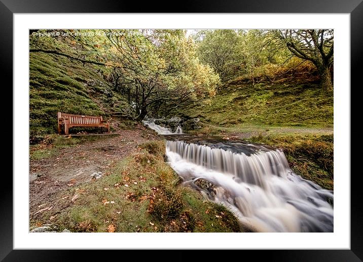  Autumn's best Seat Framed Mounted Print by Ian Collins