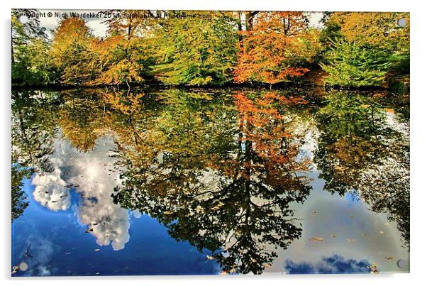  Autumn Reflections  Acrylic by Nick Wardekker