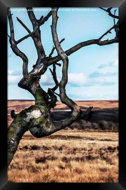  Autumn on Exmoor Framed Print by Laura Witherden