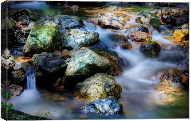  Wonder of Water Canvas Print by Dave Rowlands